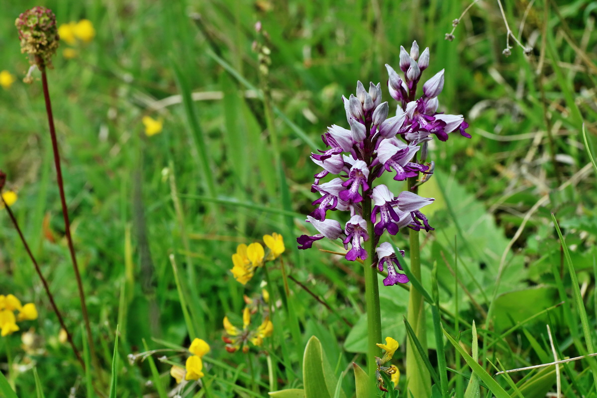 IMG-2016-05-18-00015663p_Bildgr��e �ndern