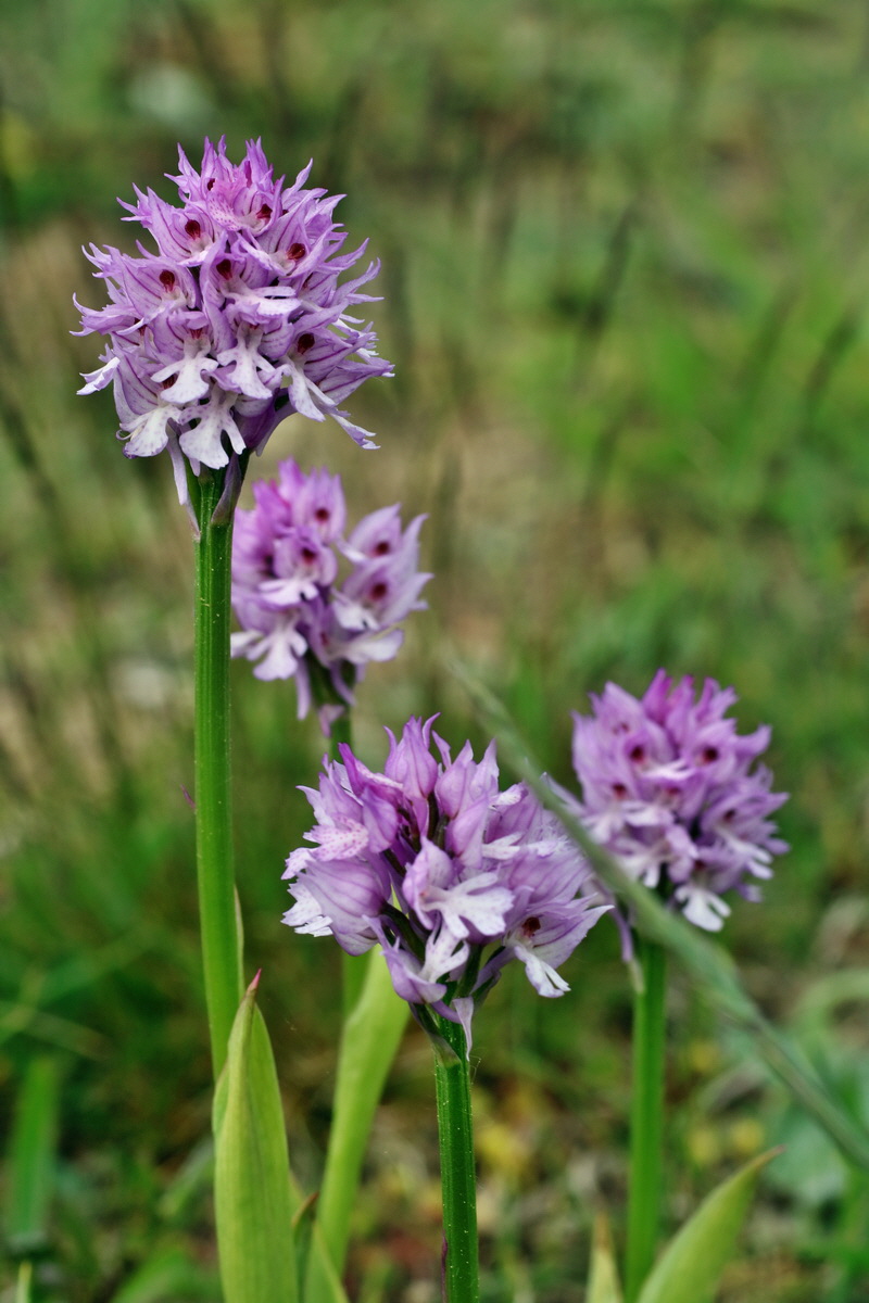 IMG-2016-05-18-00015678p_Bildgr��e �ndern