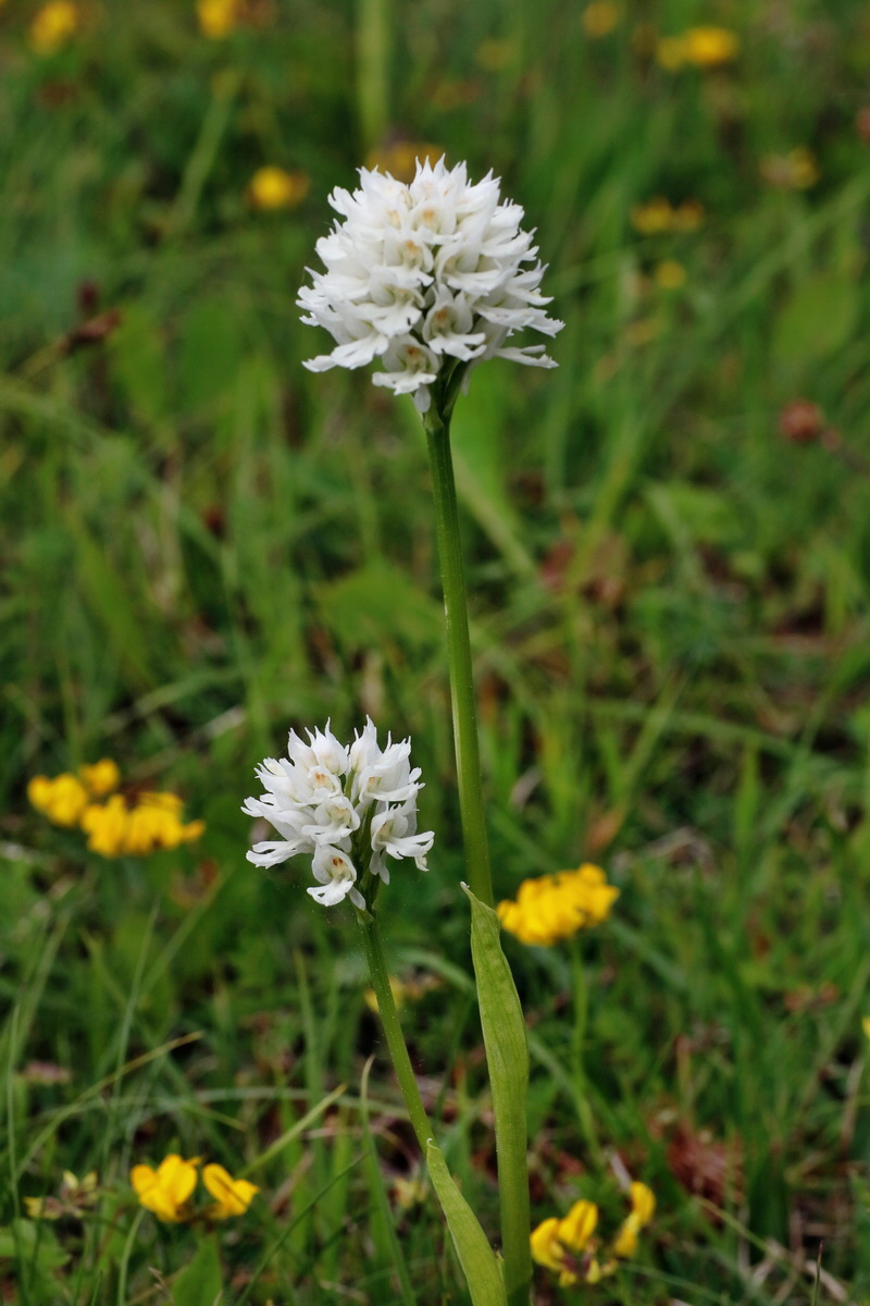 IMG-2016-05-18-00015680p_Bildgr��e �ndern