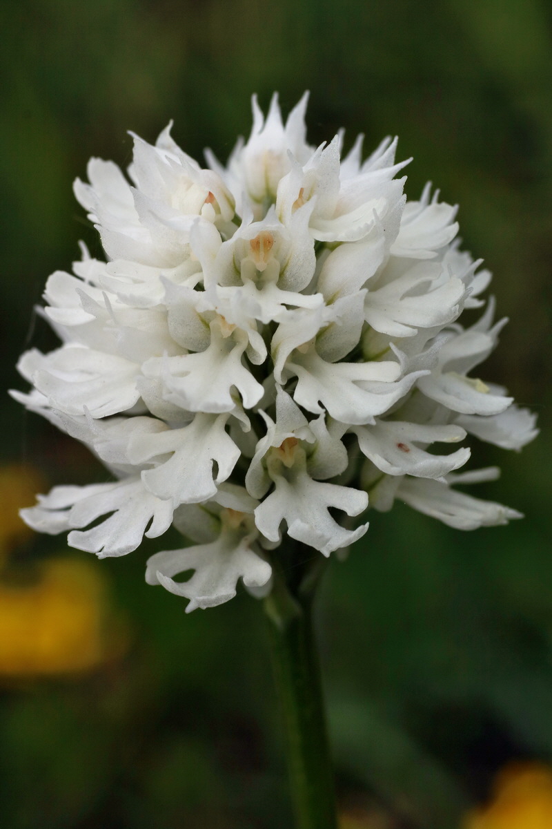 IMG-2016-05-18-00015682p_Bildgr��e �ndern