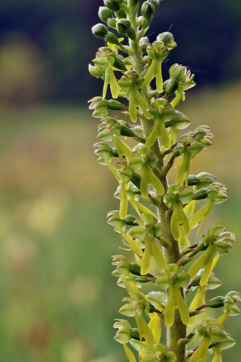 IMG-2016-05-18-00015689p_Bildgr��e �ndern