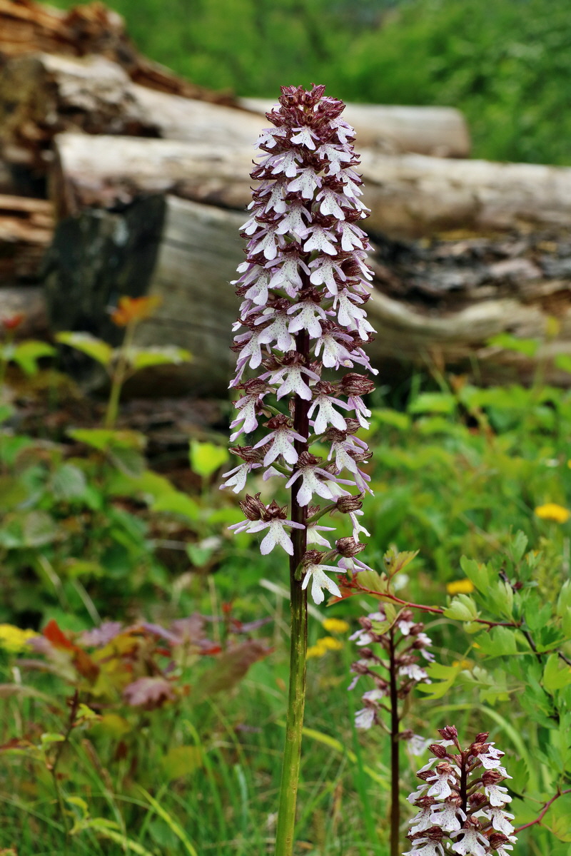 IMG-2016-05-18-00015711p_Bildgr��e �ndern