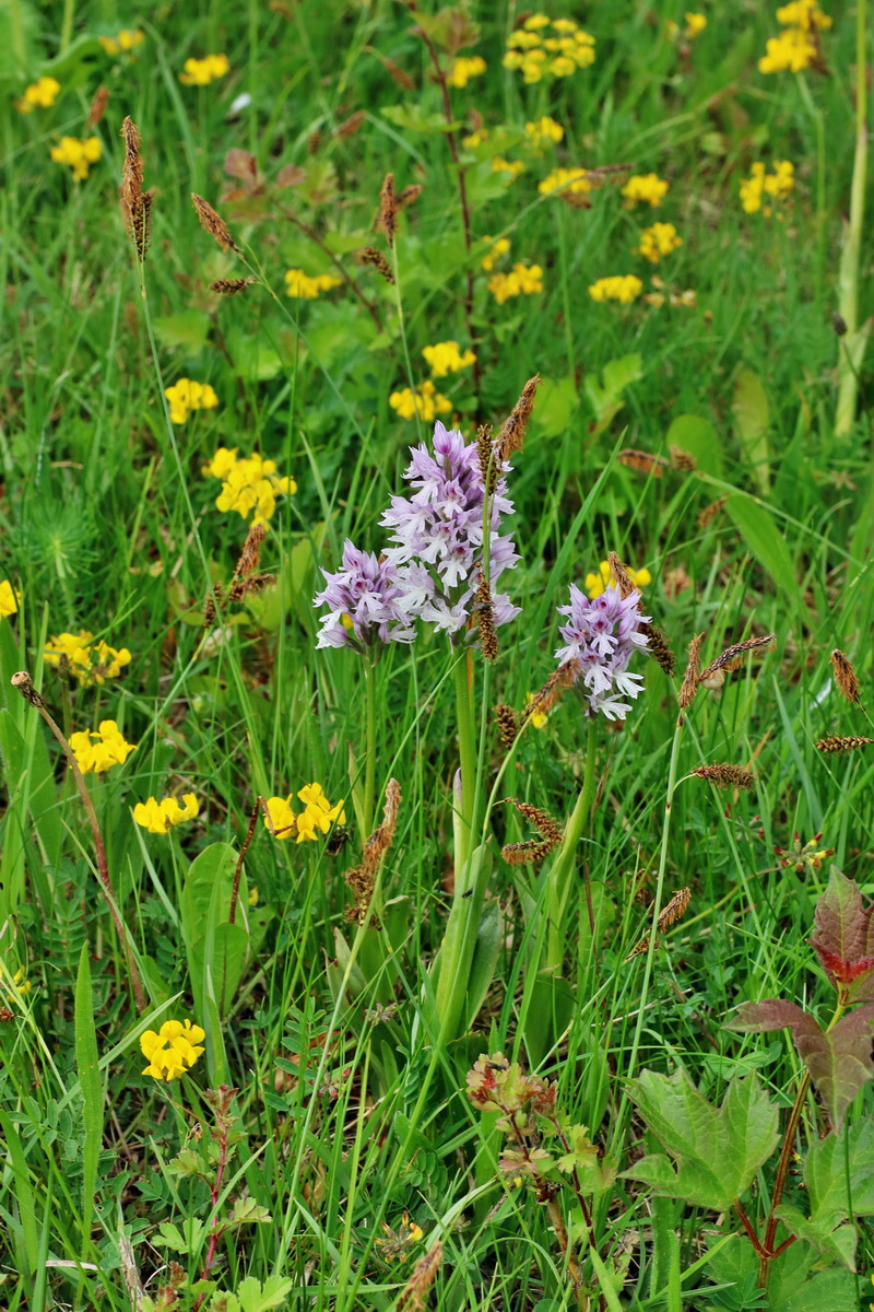 IMG-2016-05-18-00015715p_Bildgr��e �ndern