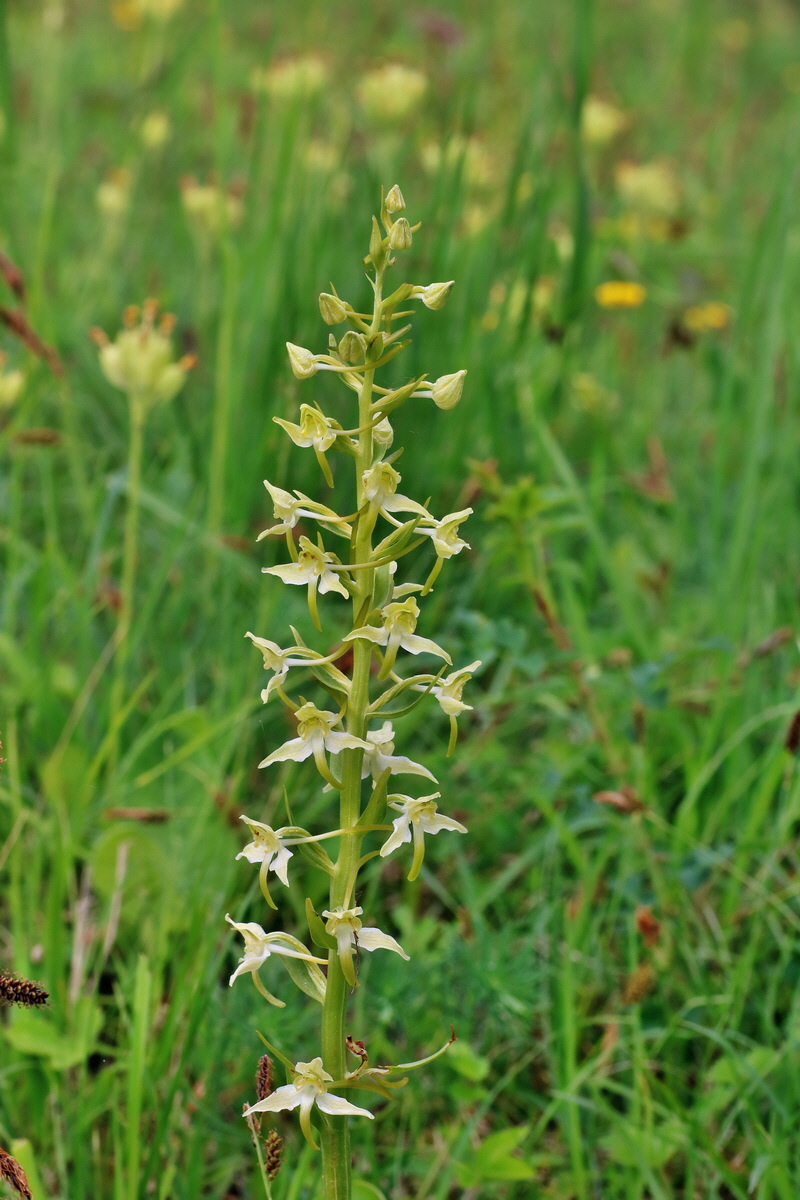 IMG-2016-05-18-00015718p_Bildgr��e �ndern