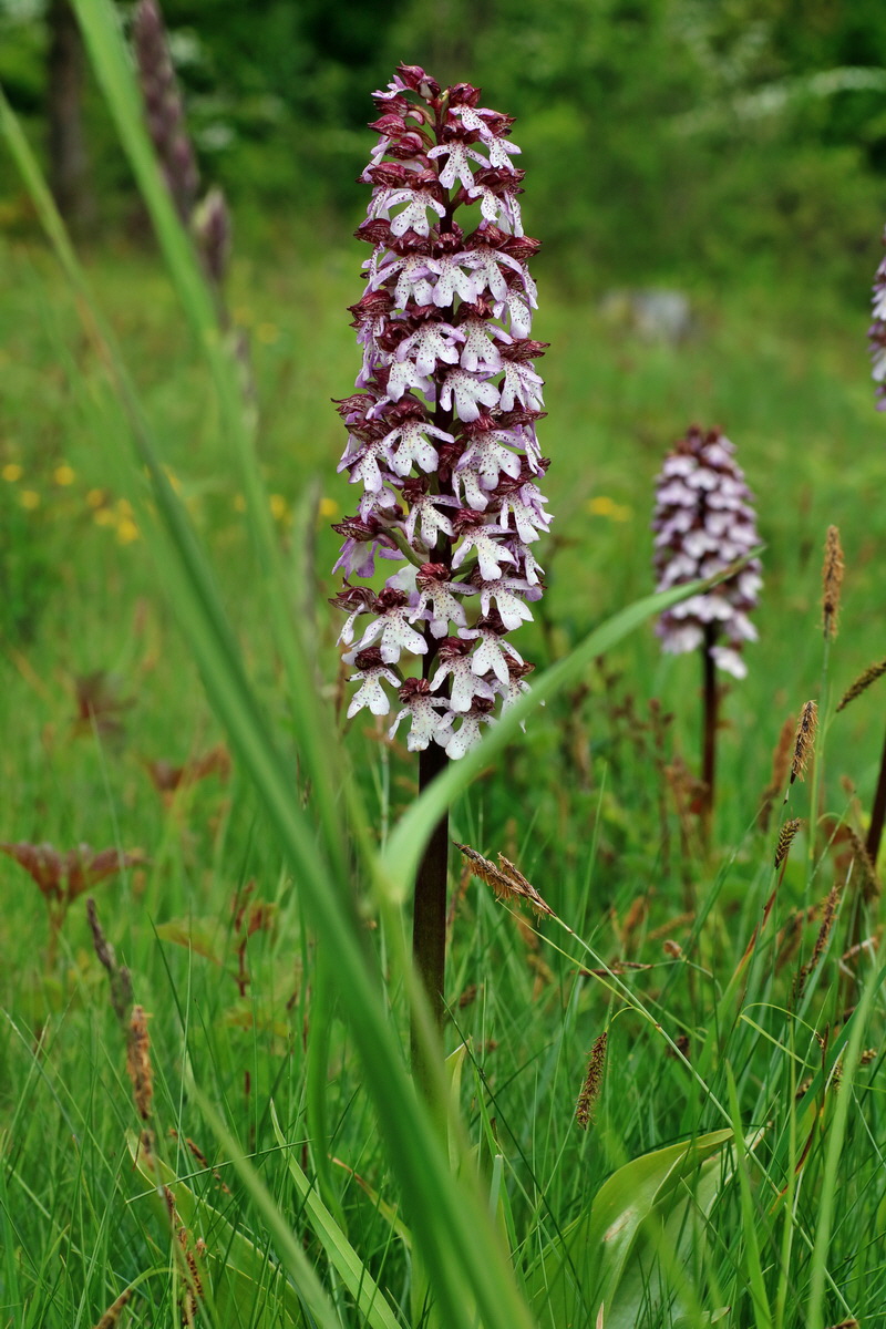 IMG-2016-05-18-00015736p_Bildgr��e �ndern