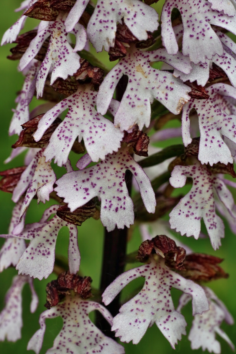 IMG-2016-05-18-00015737p_Bildgr��e �ndern