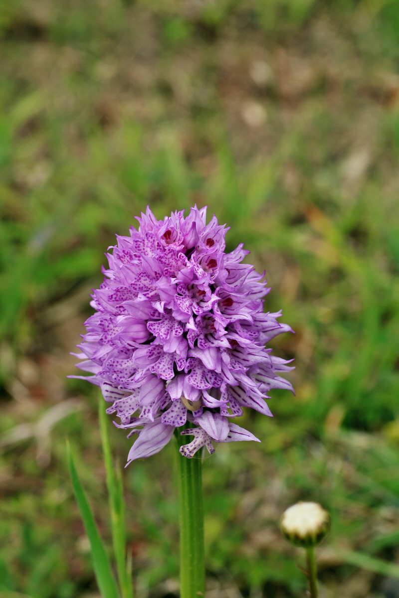 IMG-2016-05-18-00015739p_Bildgr��e �ndern