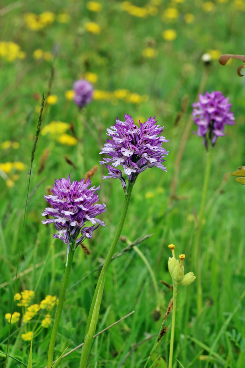 IMG-2016-05-18-00015742p_Bildgr��e �ndern