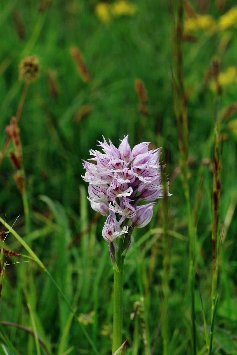 IMG-2016-05-18-00015747p_Bildgr��e �ndern