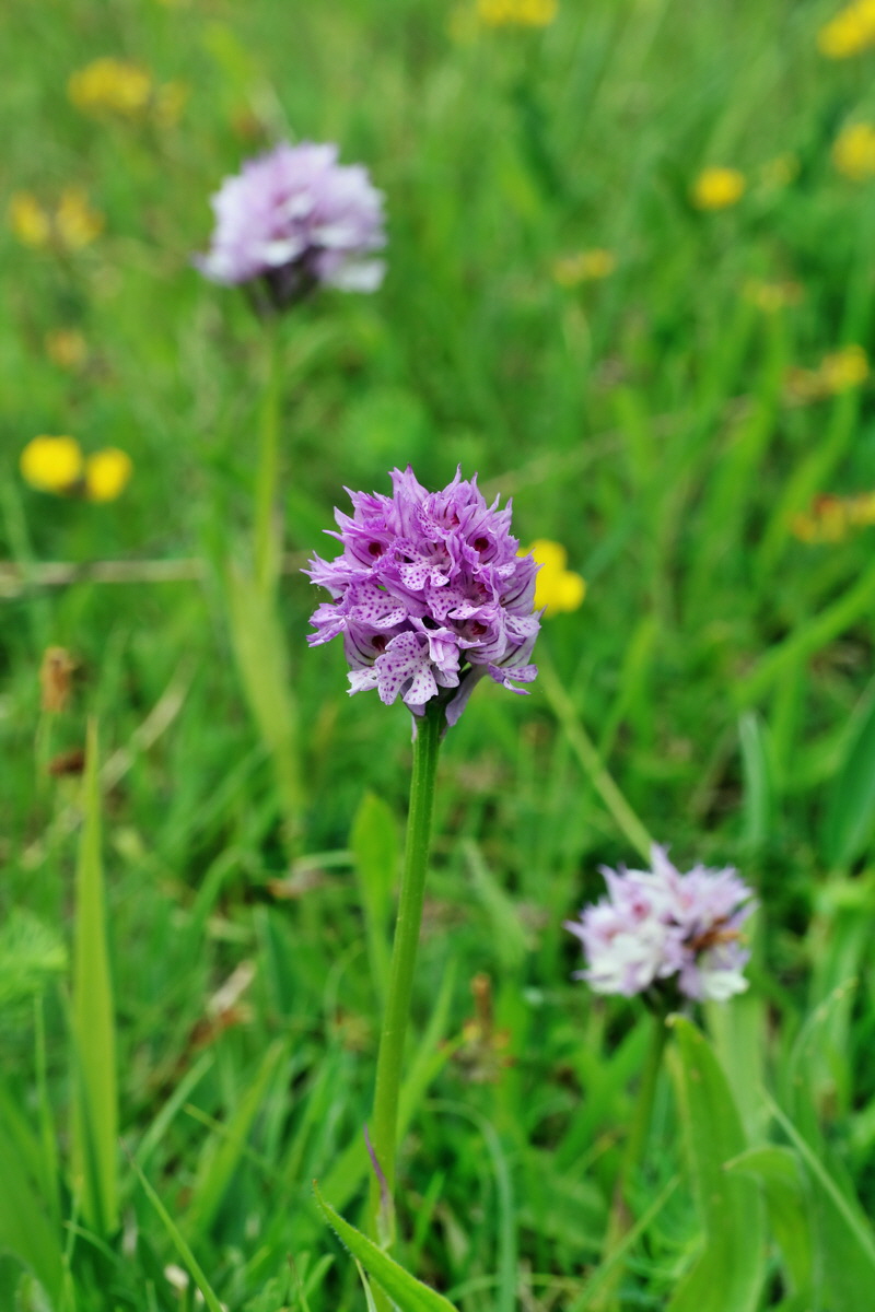 IMG-2016-05-18-00015749p_Bildgr��e �ndern