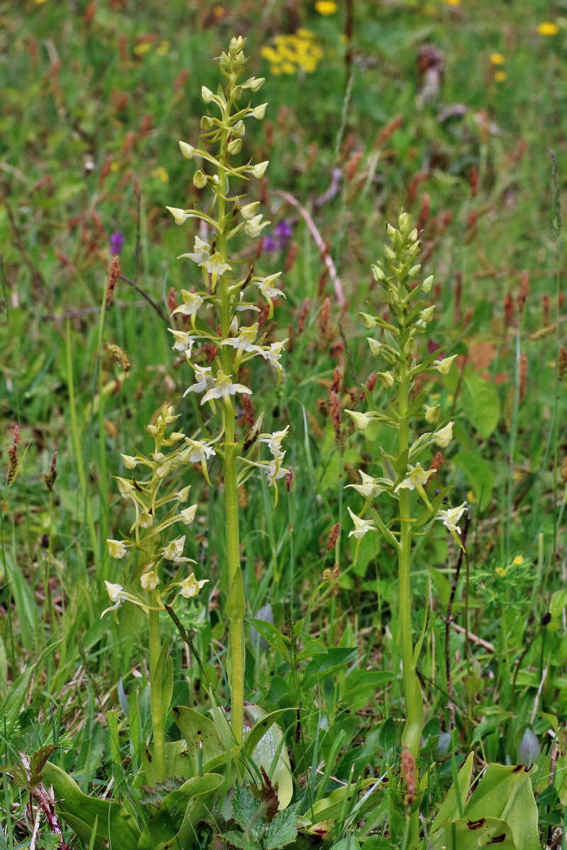 IMG-2016-05-18-00015750p_Bildgr��e �ndern