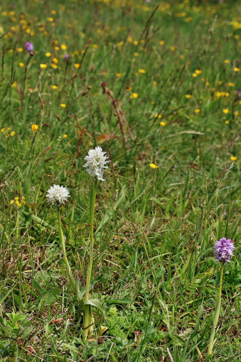 IMG-2016-05-18-00015759p_Bildgr��e �ndern