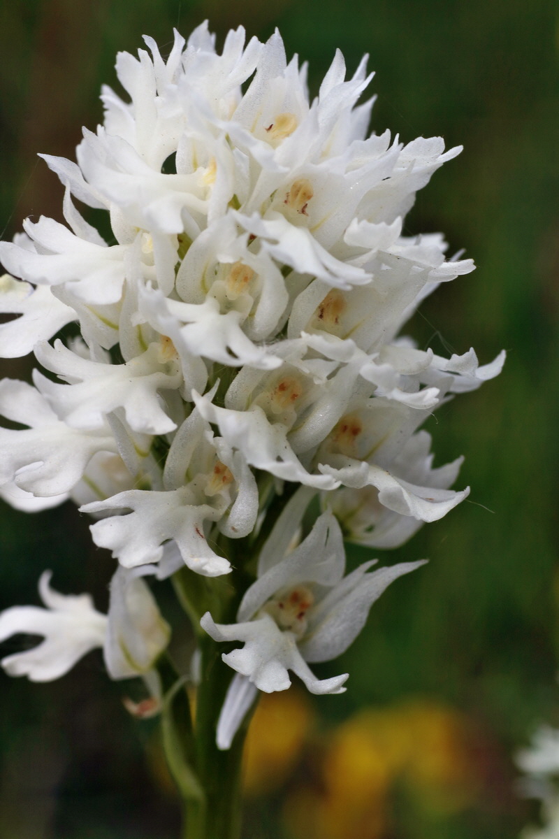 IMG-2016-05-18-00015771p_Bildgr��e �ndern