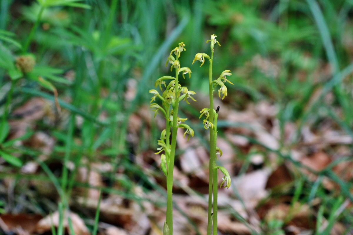 IMG-2016-05-18-00015780p_Bildgr��e �ndern