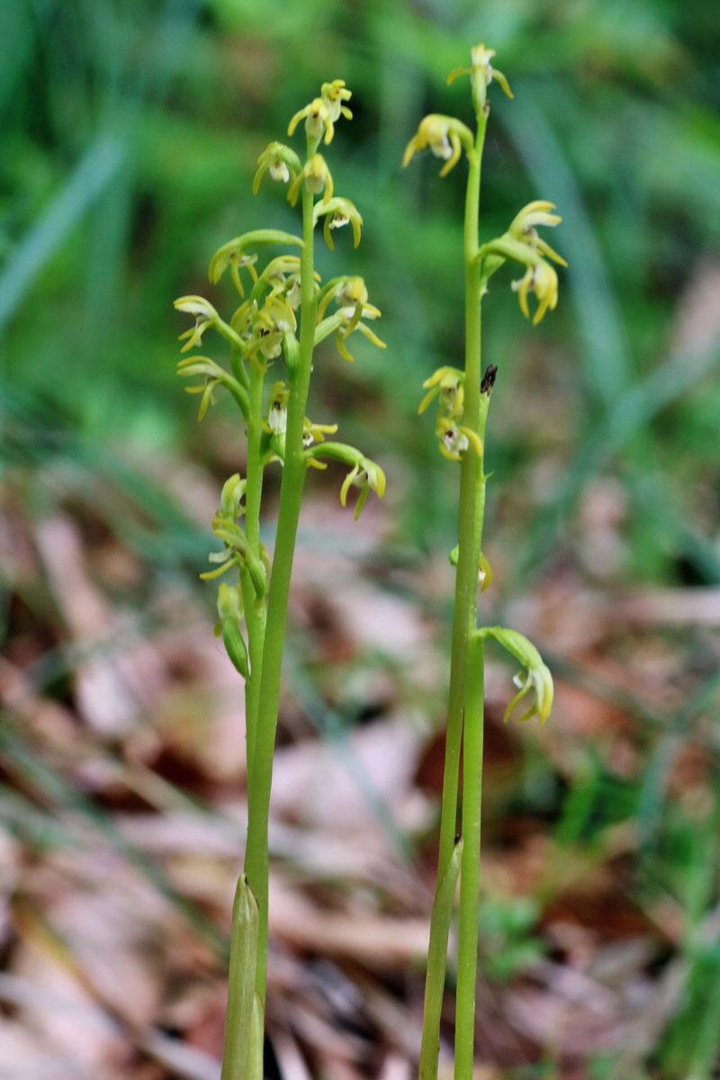 IMG-2016-05-18-00015784p_Bildgr��e �ndern