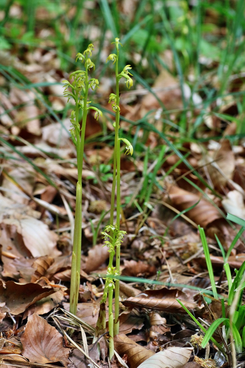 IMG-2016-05-18-00015786p_Bildgr��e �ndern