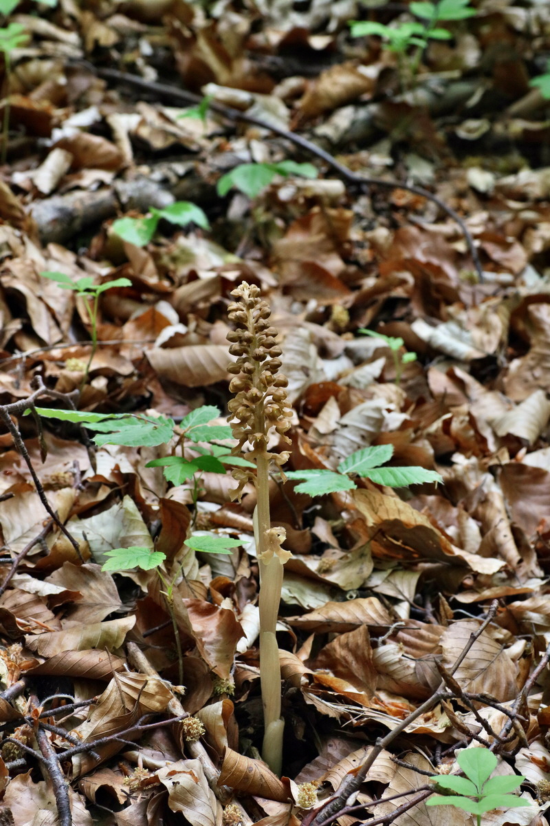 IMG-2016-05-18-00015788p_Bildgr��e �ndern