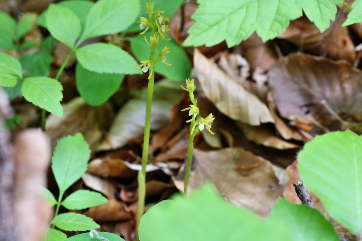 IMG-2016-05-18-00015792p_Bildgr��e �ndern