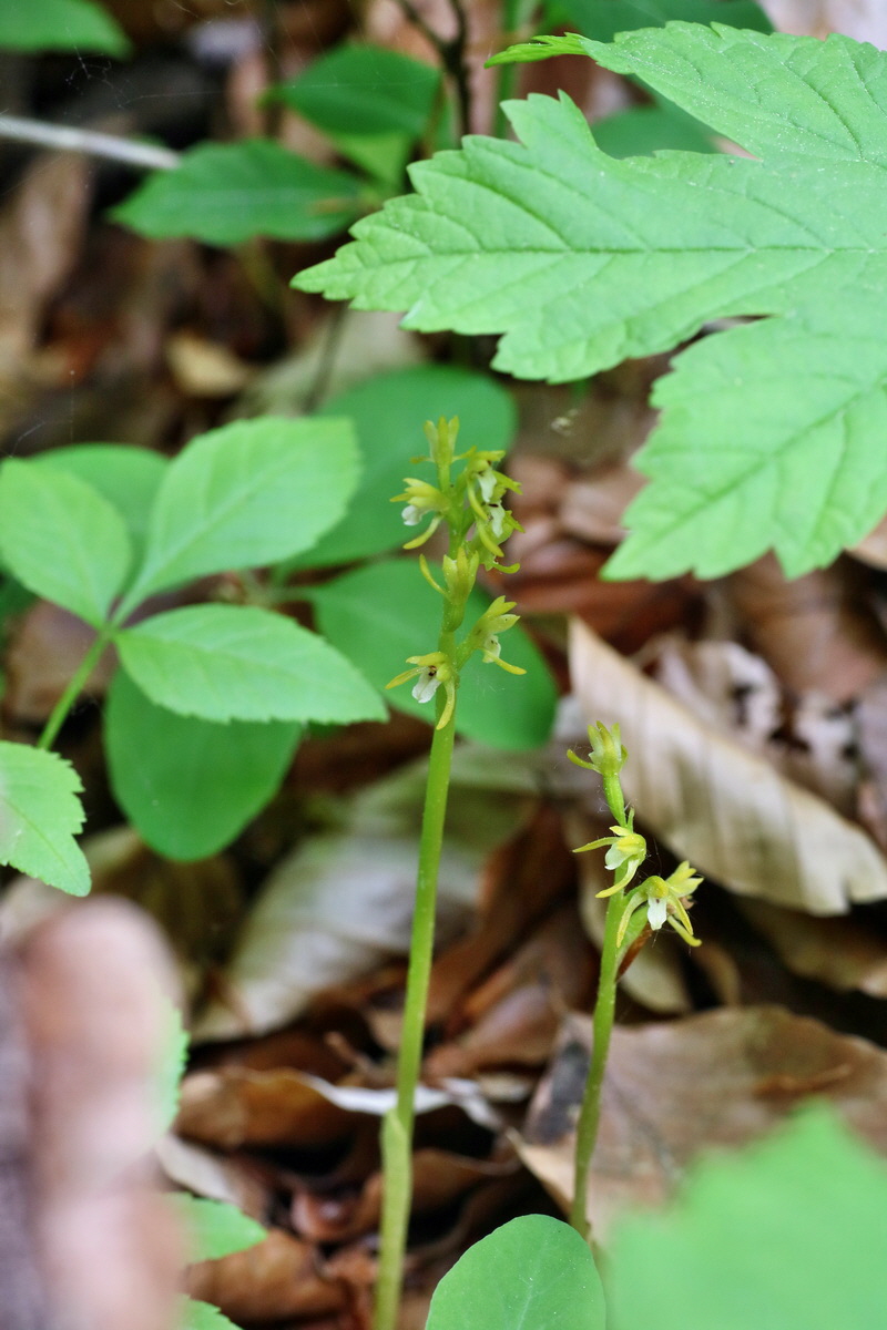 IMG-2016-05-18-00015799p_Bildgr��e �ndern