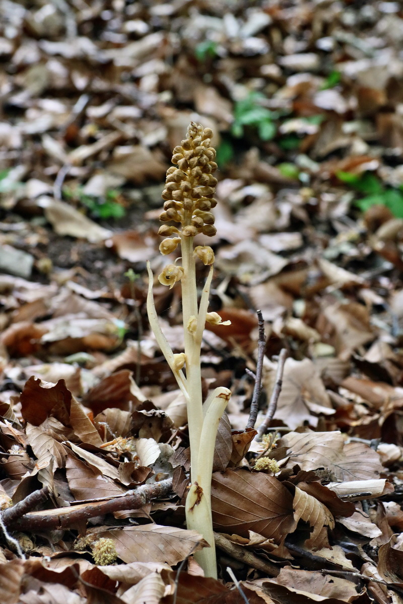 IMG-2016-05-18-00015802p_Bildgr��e �ndern