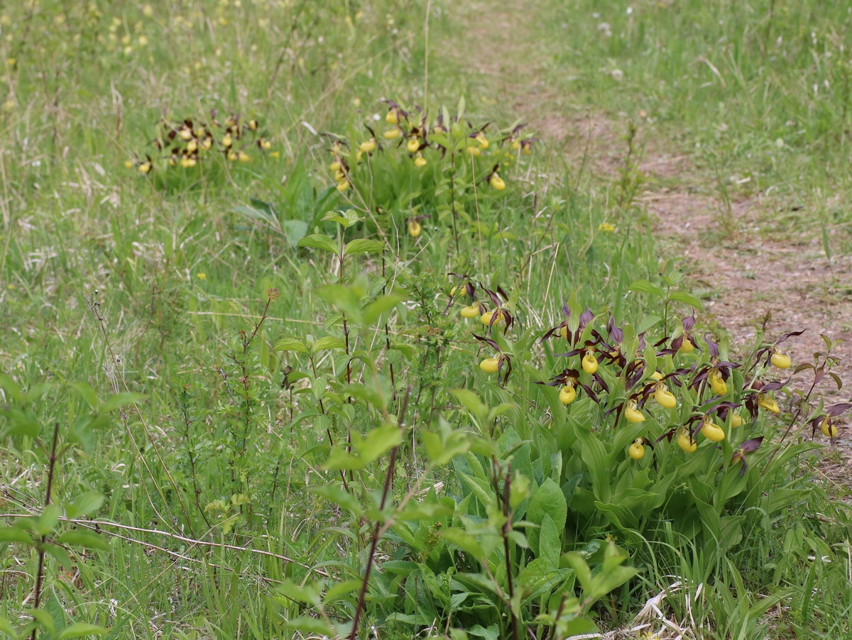 [Group 6]-IMG-2016-05-21-00015948_IMG-2016-05-21-00015950-3 images_Bildgr��e �ndern