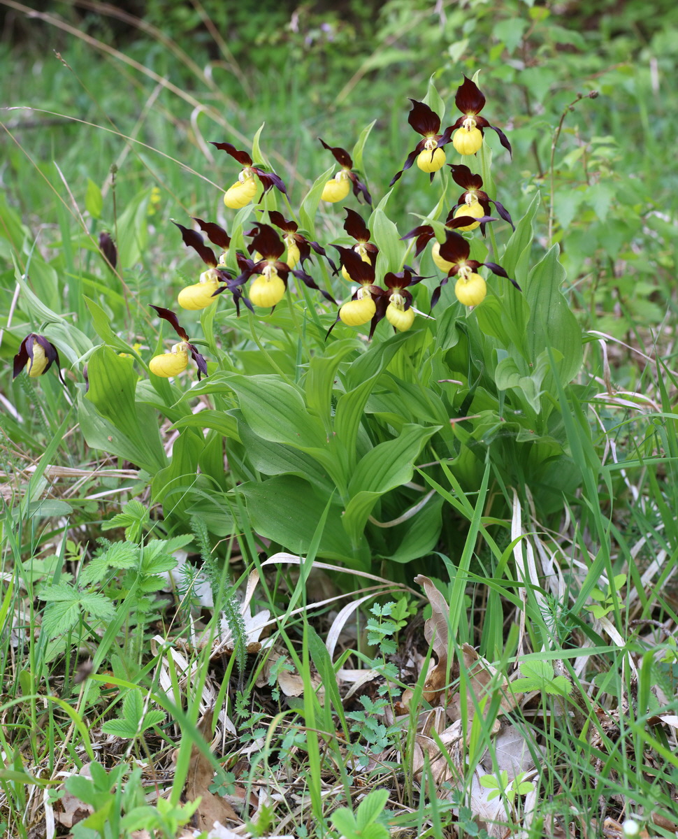 [Group 6]-IMG-2016-05-21-00015963_IMG-2016-05-21-00015969-6 images_Bildgr��e �ndern