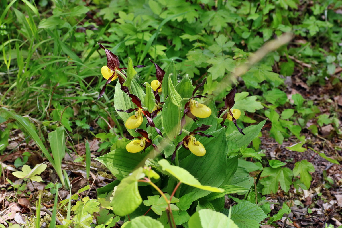 IMG-2016-05-21-00015811p_Bildgr��e �ndern