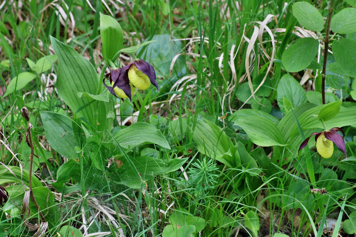 IMG-2016-05-21-00015812p_Bildgr��e �ndern