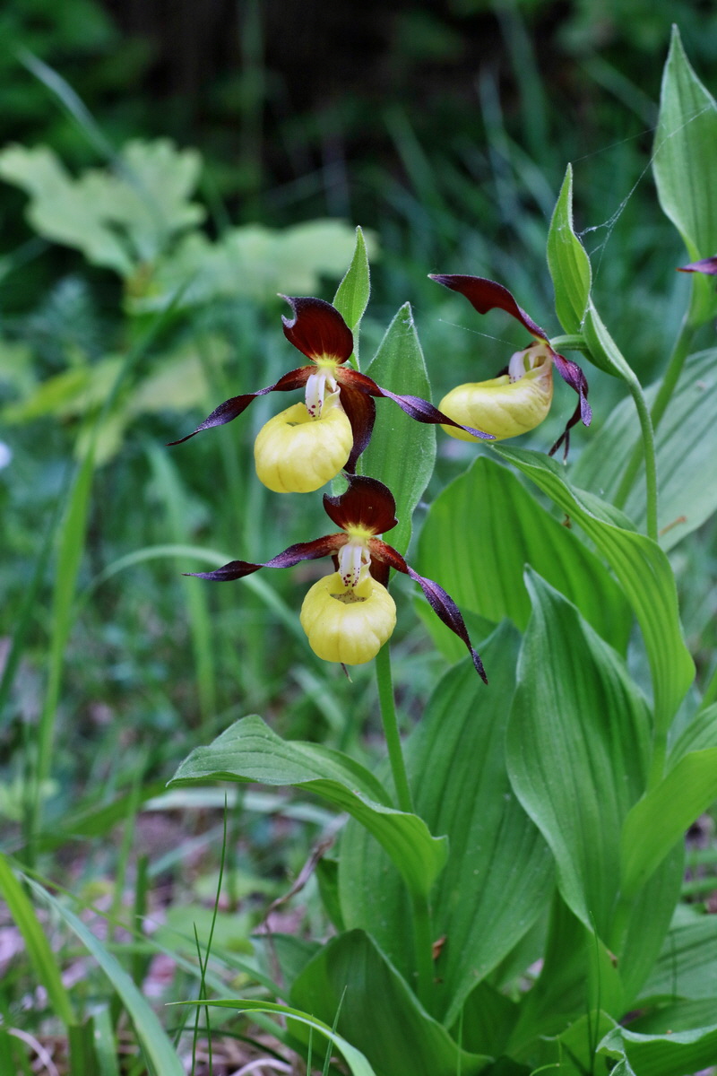 IMG-2016-05-21-00015816p_Bildgr��e �ndern