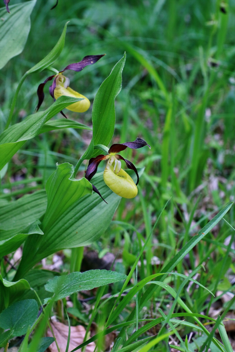 IMG-2016-05-21-00015820p_Bildgr��e �ndern