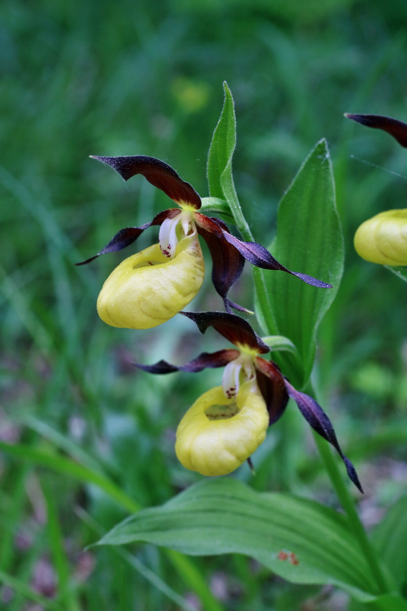 IMG-2016-05-21-00015821p_Bildgr��e �ndern