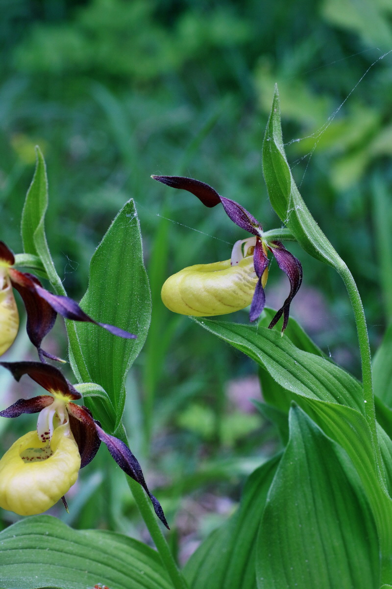 IMG-2016-05-21-00015823p_Bildgr��e �ndern