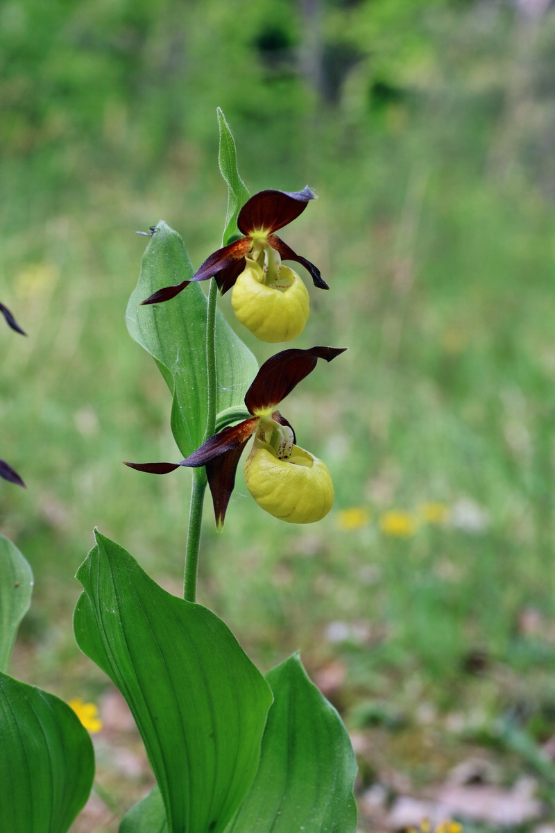 IMG-2016-05-21-00015830p_Bildgr��e �ndern