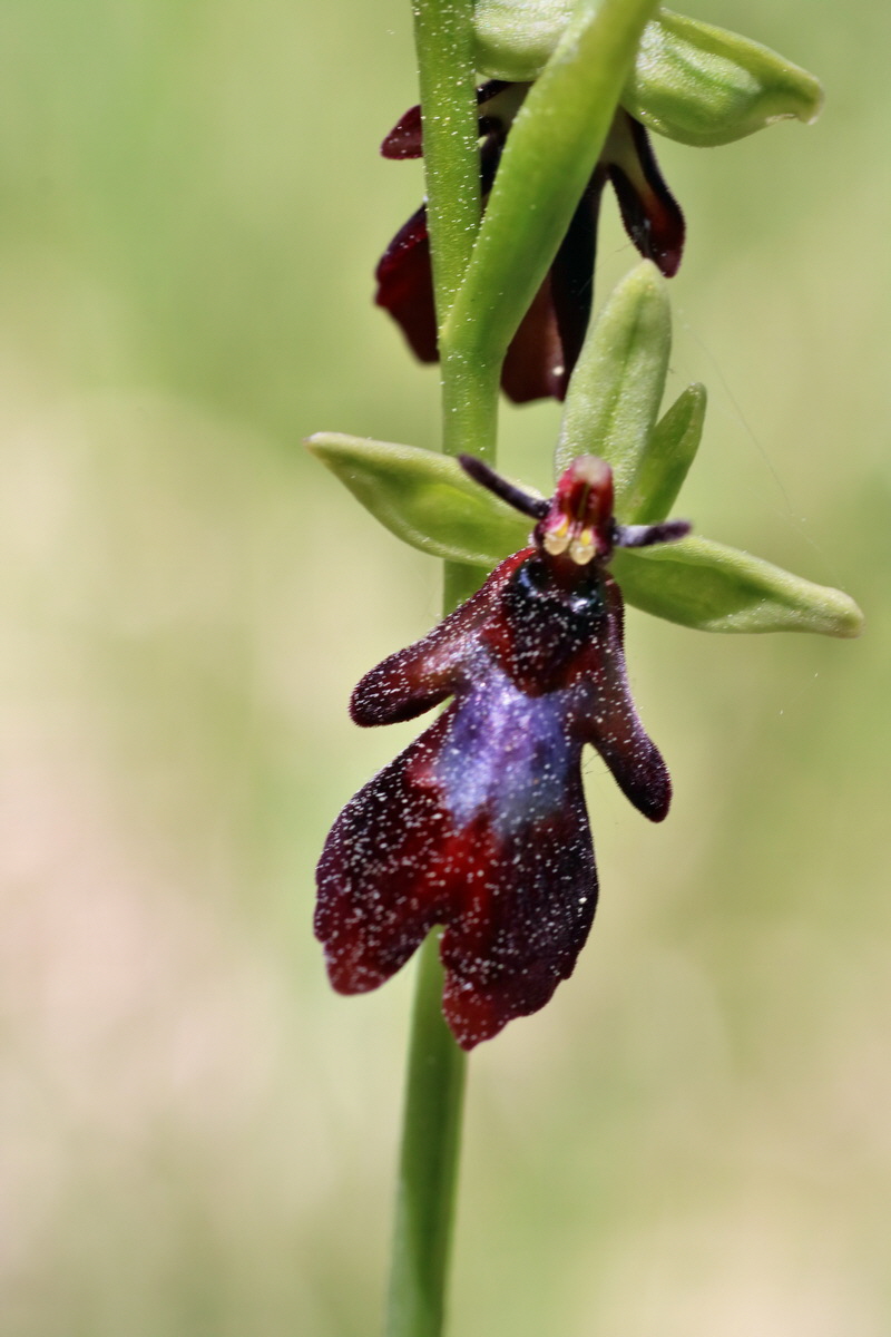 IMG-2016-05-21-00015850p_Bildgr��e �ndern