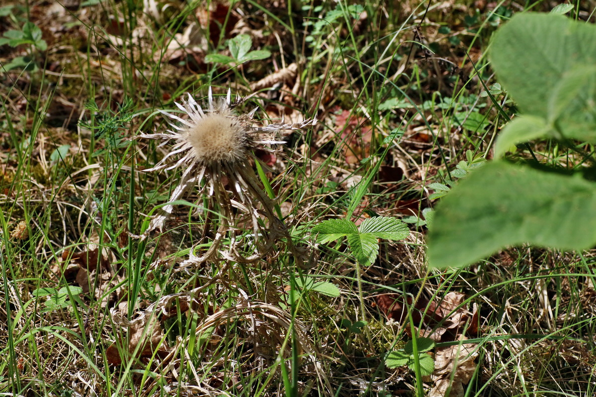 IMG-2016-05-21-00015855p_Bildgr��e �ndern