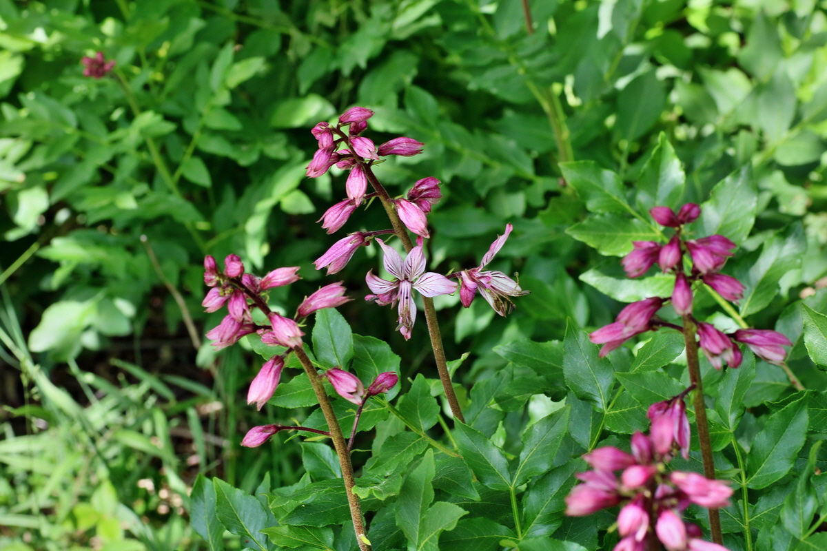 IMG-2016-05-21-00015858p_Bildgr��e �ndern