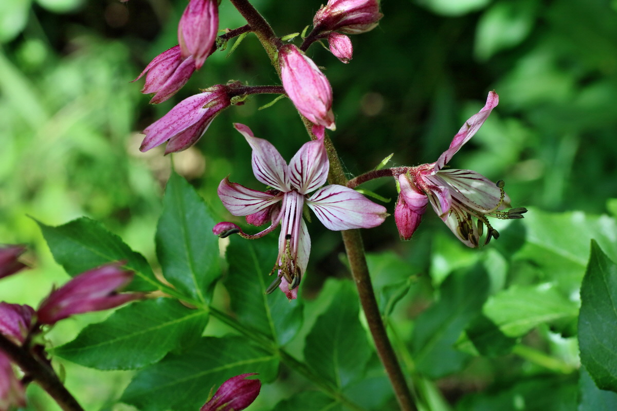 IMG-2016-05-21-00015861p_Bildgr��e �ndern