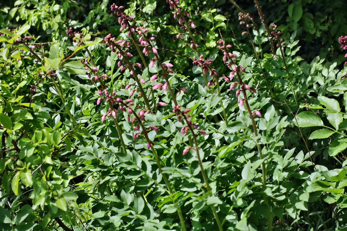 IMG-2016-05-21-00015864p_Bildgr��e �ndern