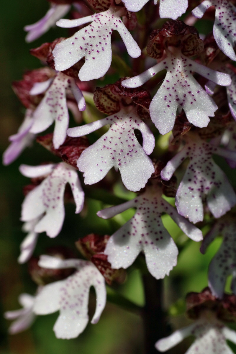 IMG-2016-05-21-00015866p_Bildgr��e �ndern