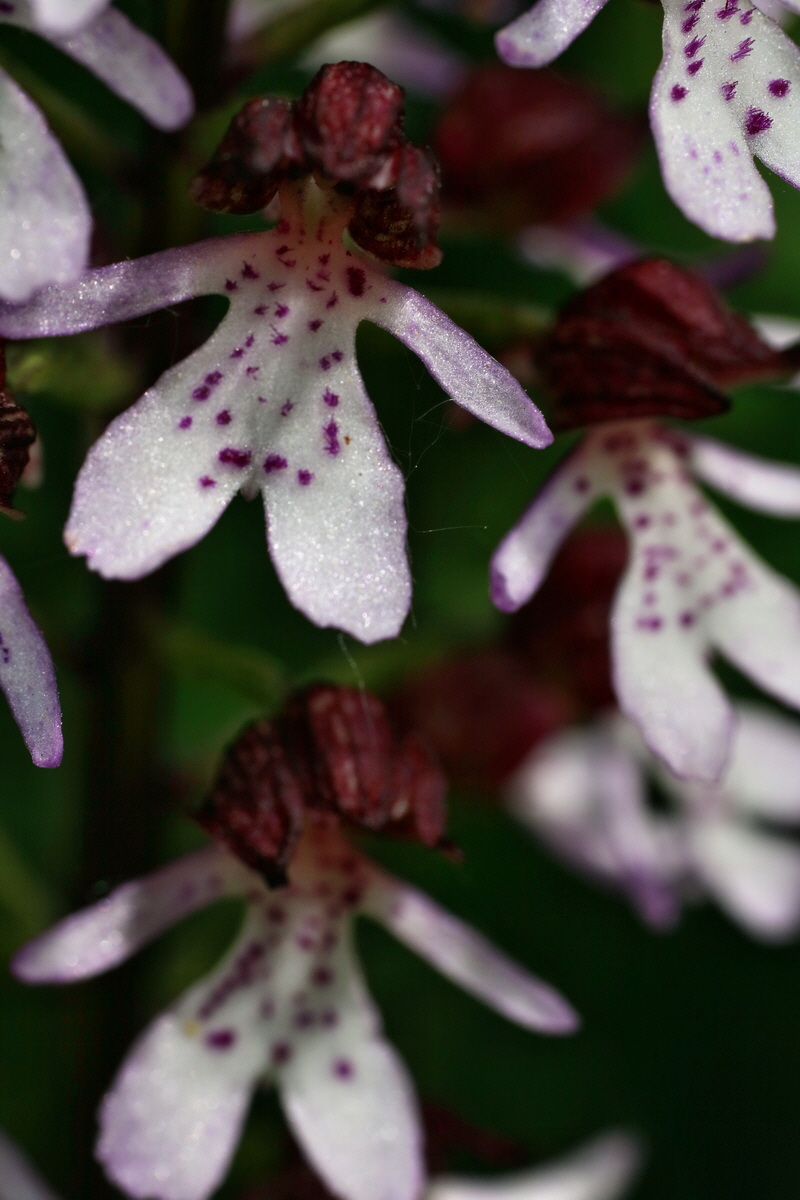 IMG-2016-05-21-00015873p_Bildgr��e �ndern