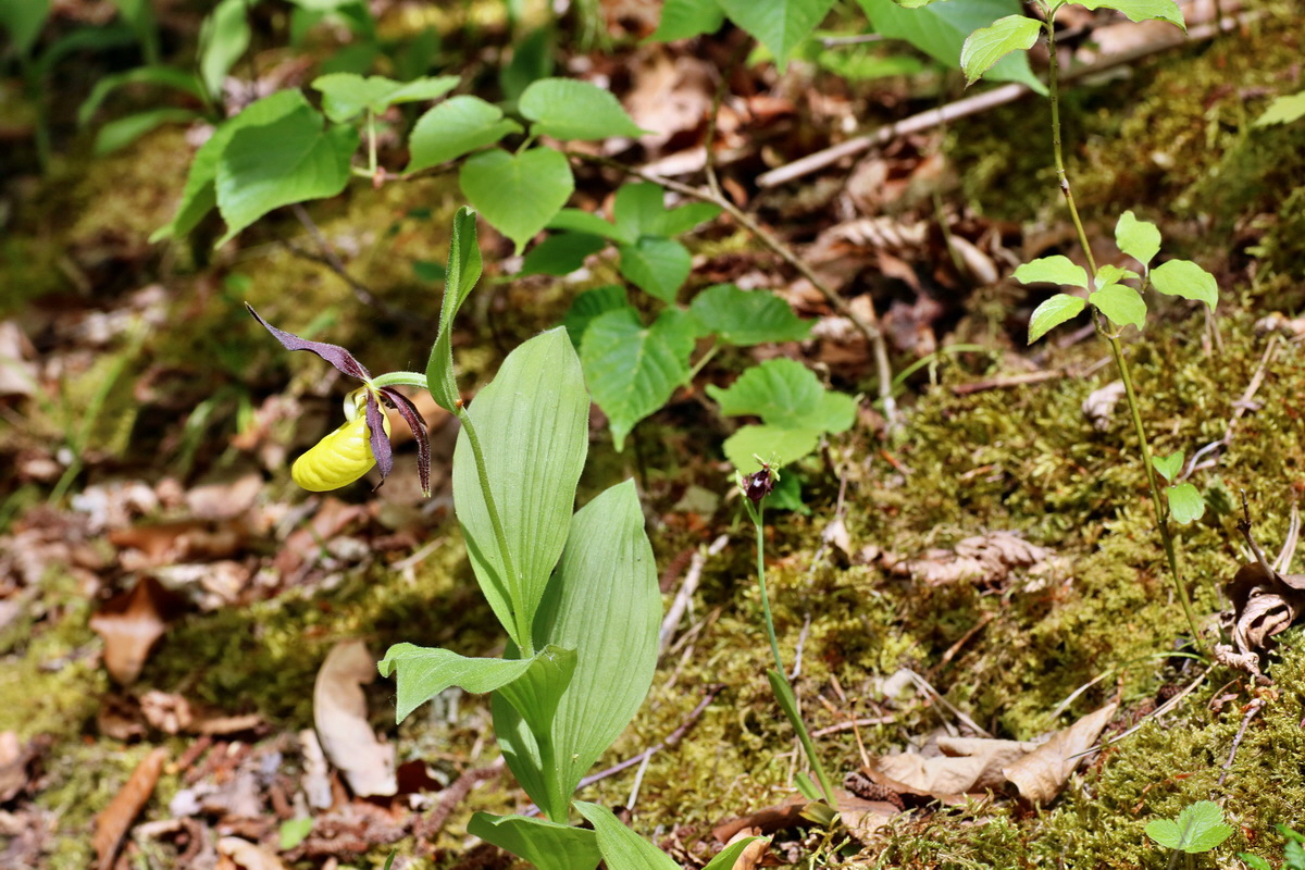 IMG-2016-05-21-00015887p_Bildgr��e �ndern