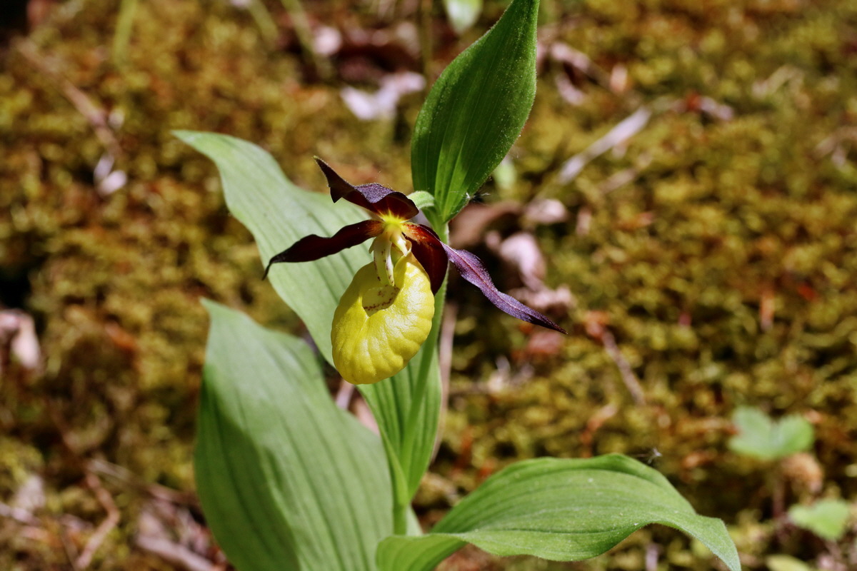 IMG-2016-05-21-00015893p_Bildgr��e �ndern