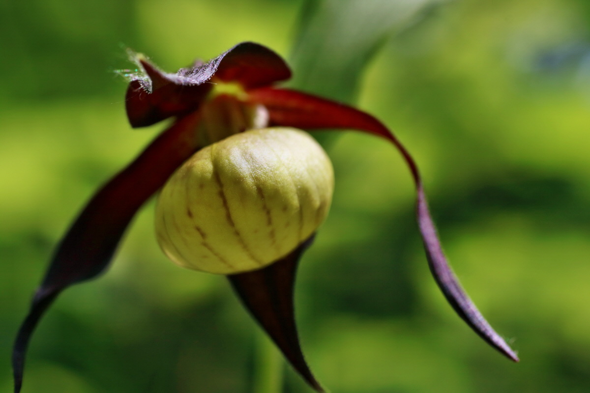 IMG-2016-05-21-00015901p_Bildgr��e �ndern