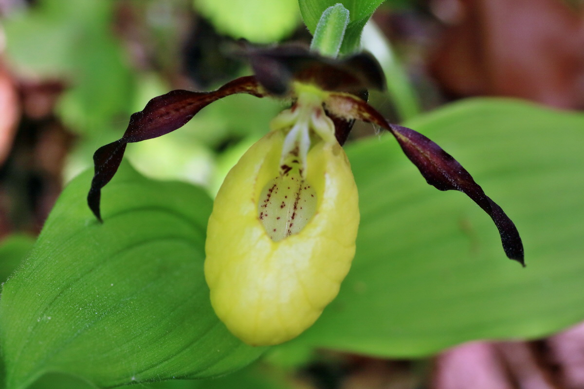 IMG-2016-05-21-00015905p_Bildgr��e �ndern