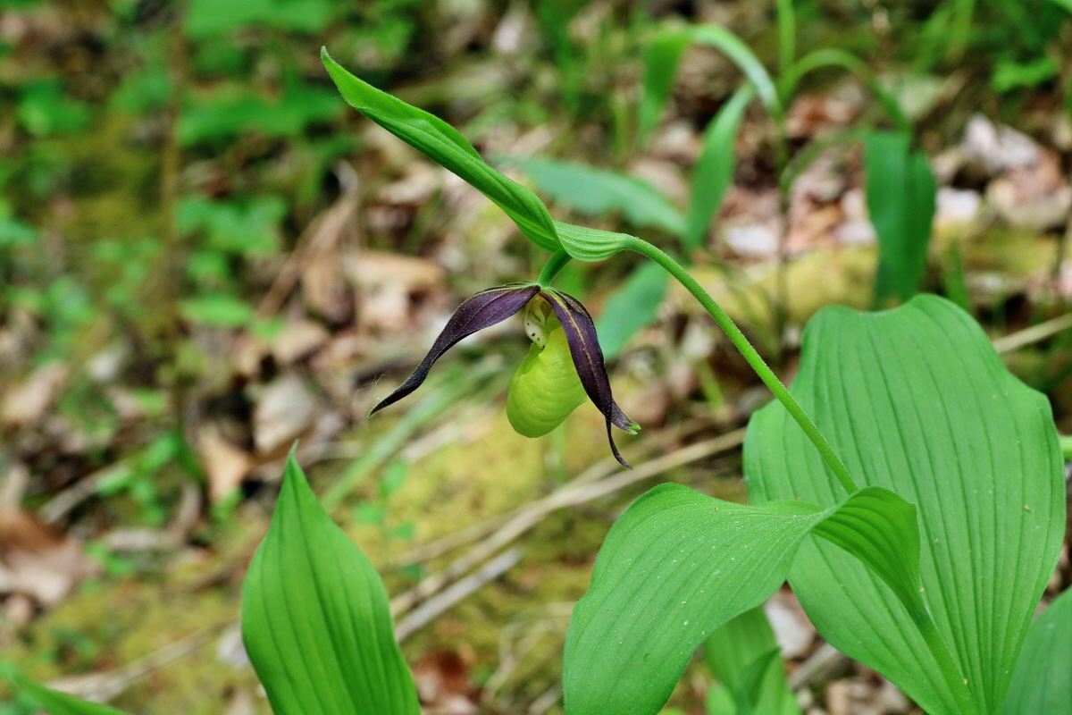 IMG-2016-05-21-00015923p_Bildgr��e �ndern