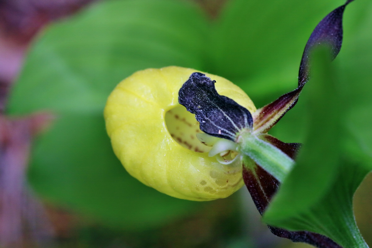 IMG-2016-05-21-00015933p_Bildgr��e �ndern