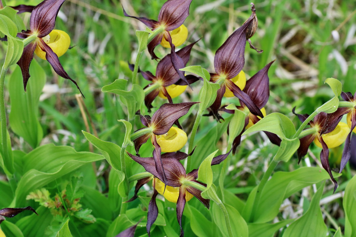 IMG-2016-05-21-00015953p_Bildgr��e �ndern