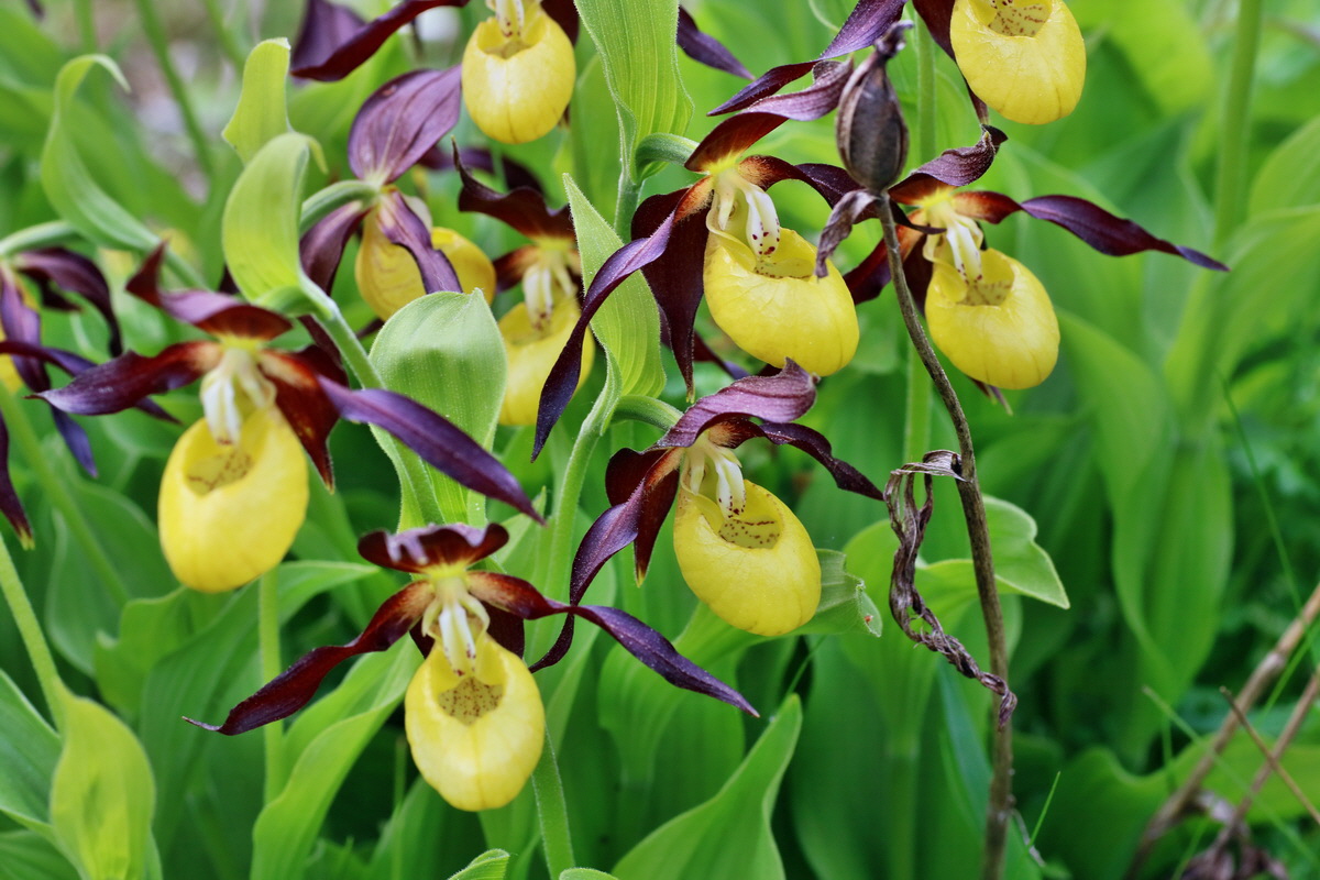 IMG-2016-05-21-00015955p_Bildgr��e �ndern