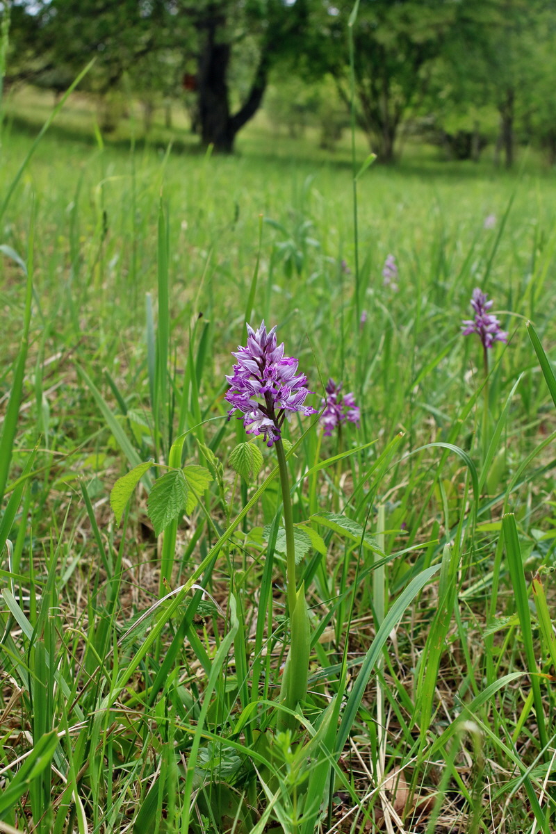 IMG-2016-05-21-00015987p_Bildgr��e �ndern