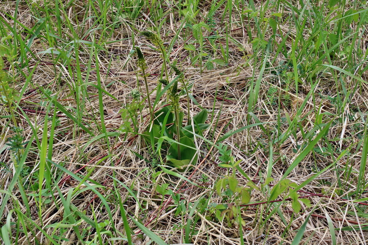 IMG-2016-05-21-00015989p_Bildgr��e �ndern